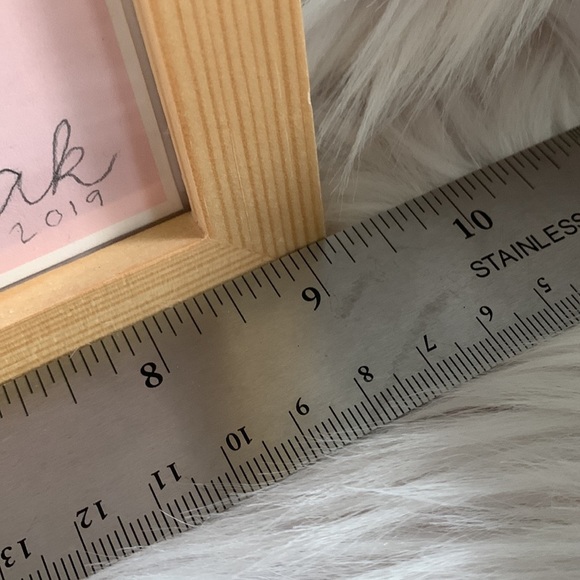 Rubber Plant Framed Print - Picture 7 of 7